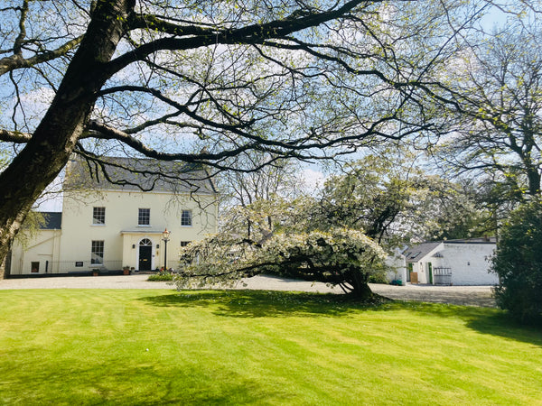 Guided Tour - Stories of Blackheath House