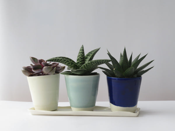 Set of three planters